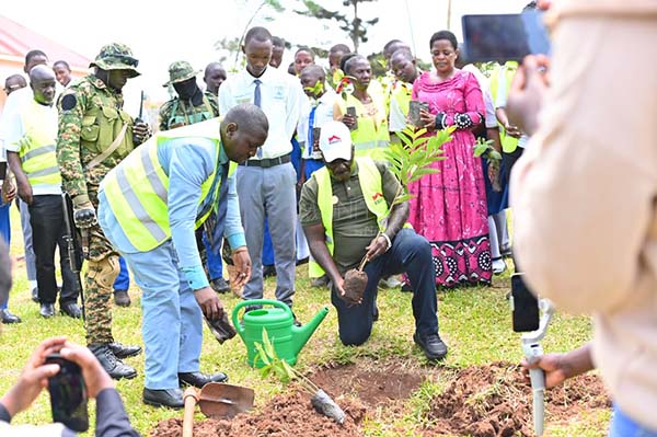 Schools join Uganda's fight against deforestation in 200,000-tree drive